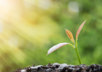 「もう一生このまま…？」と不安だった痛みが解消に向かう理由